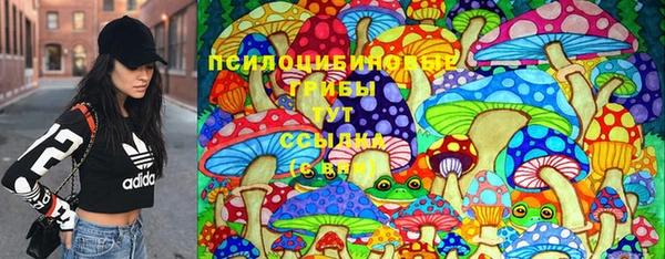 PSILOCYBIN Баксан