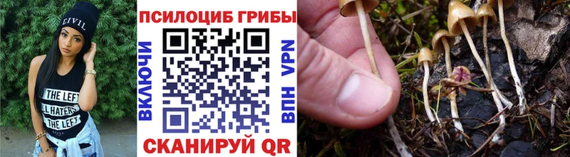 Псилоцибиновые грибы ЛСД Горнозаводск